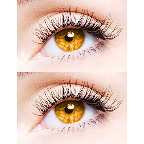 EYCOG EYCOG 2 Pair Monthly Colored Contact Lenses Zero Power (Honey-Honey)