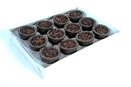 Shudh Aroma Shudh Aroma Pure guggal Sambrani Dhoop Cup - 48 Dhoop Cups With Burner Plate (pack of 4, 12 cups in 1 pack)