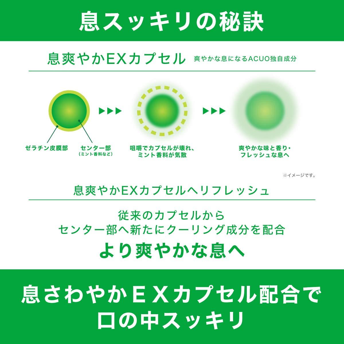 Lotte Lotte ACUO Green Mint Big Bottle 140g | Made in Japan | Chewing Gum