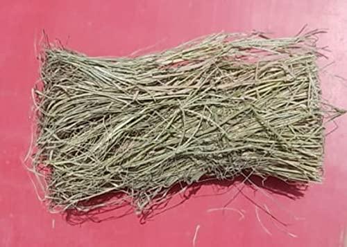 indianvedic Dried Dry Doob Ghaas Durva Grass Bahama Ghas Indian Couch Arugampul | Cynodon dactylon 150g