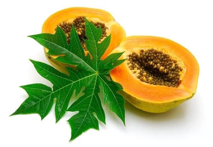 3V PRODUCTS Papaya Leaf Powder 50g | Papita Leaf | Pappali Ilai | Carica Papaya