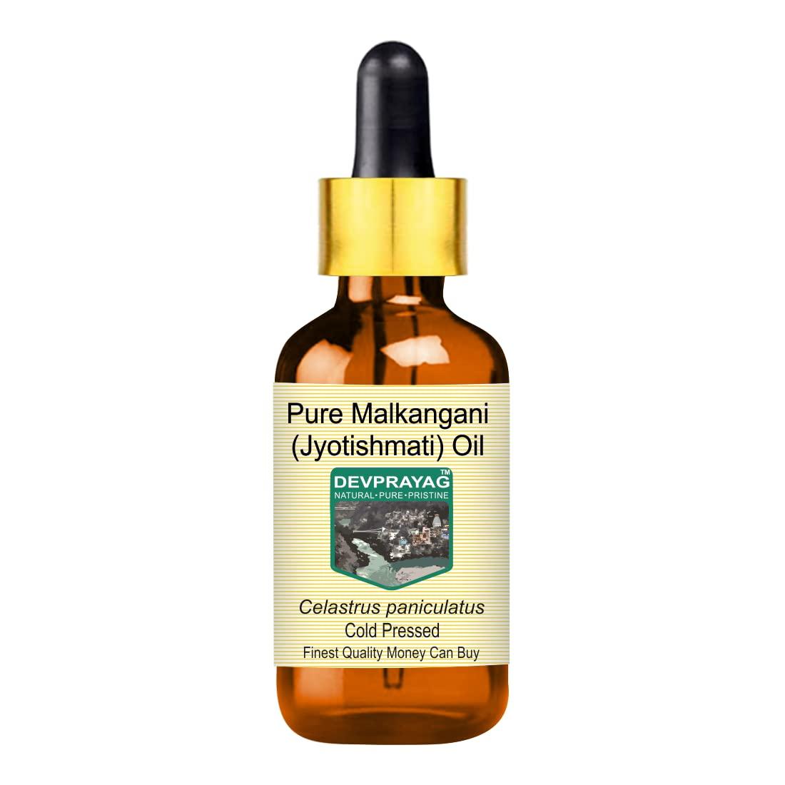DEVPRAYAG Devprayag Pure Malkangani (Malkangni/Jyotishmati) Oil (Celastrus paniculatus) with Glass Dropper Natural Therapeutic Grade Cold Pressed 30ml Pure | Non-Sticky | Non-greasy | Lightweight | For All