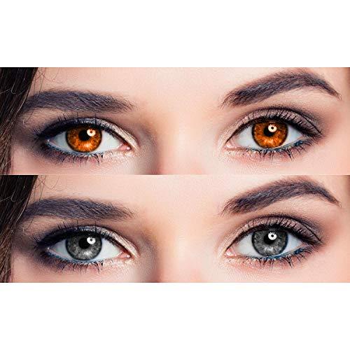EYCOG EYCOG Honey and Grey Monthly Colored 0 Power Contact Lenses for Eyes Men and Women with Lens Case