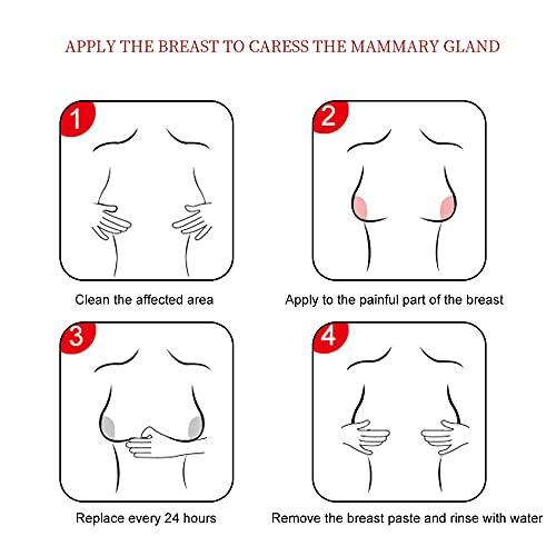 Layfoo 6 Pack Herbal Patches Swelling Sticker Breast Care Pads Breast Health Care (Brown) -Layfoo