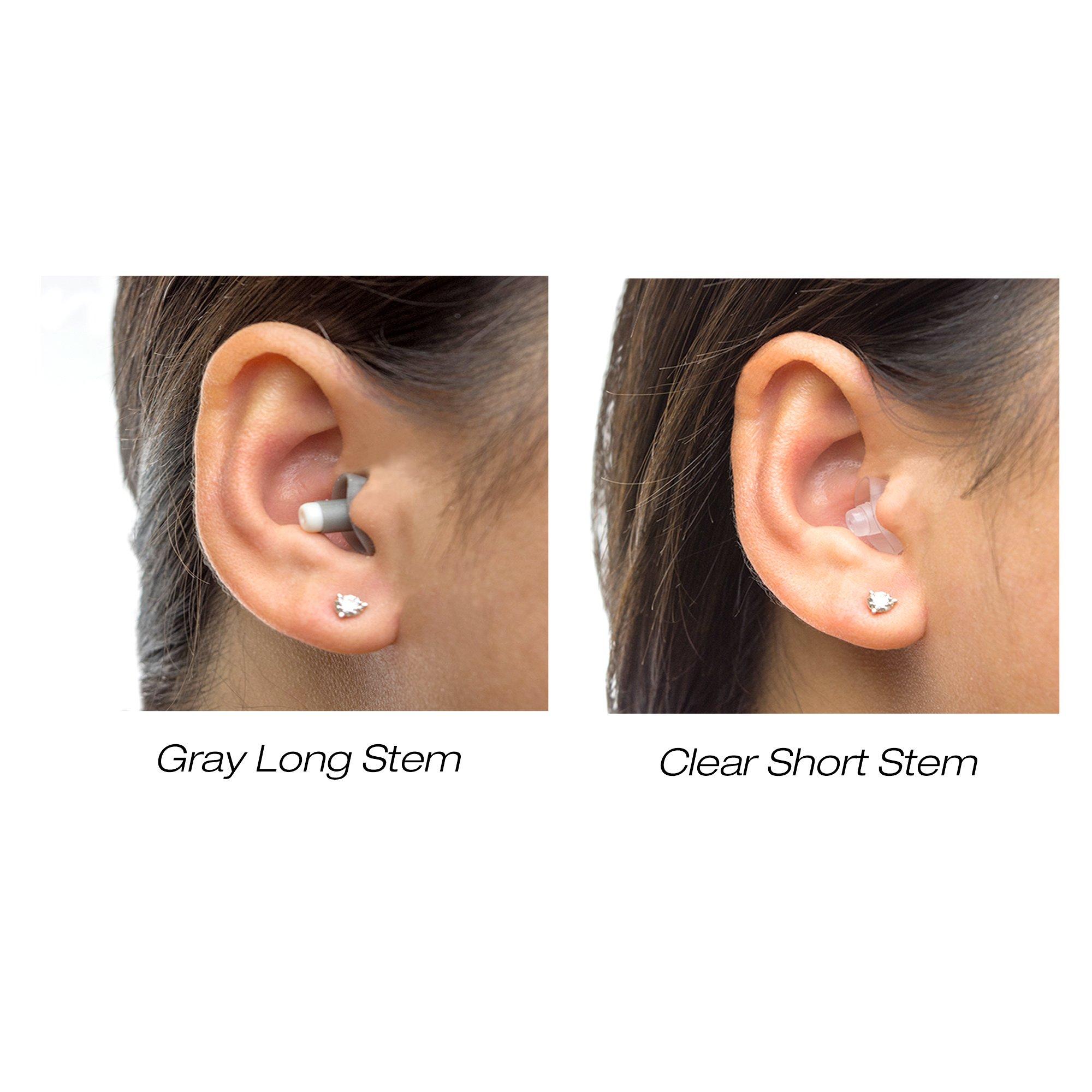 Rave Ear Plugs Rave High Fidelity Ear Plugs: HiFi Hearing Protection for Music, Concert; Noise Reducing Earplugs Help Stop Tinnitus; Ear Buds Filter Noise for Ear Protection (Black Case) (2 Pairs - 19 / 25 Decibel)