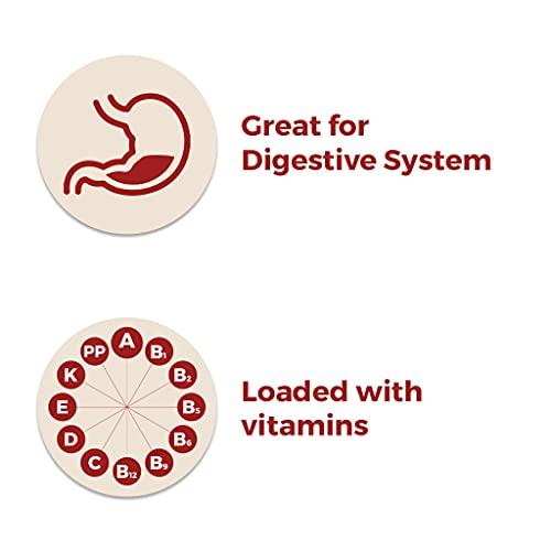 SATVAM Satvam Chaas/Buttermilk Masala (Pack of 2)|(2 * 100g)