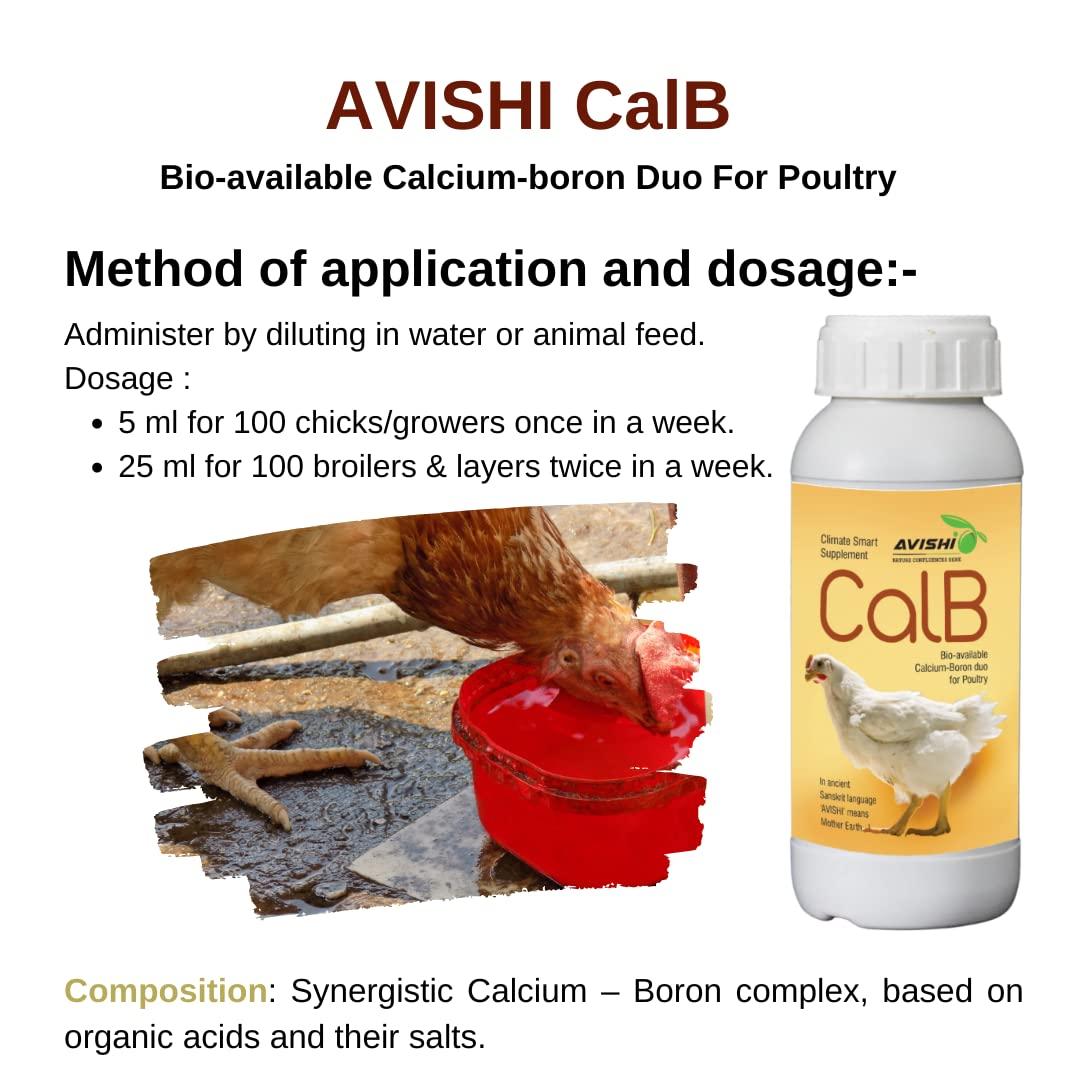 Avishi Avishi CalB Calcium-Boron Duo for Poultry (500 ml), Active Calcium for Strong Bones, Better Wound Healing and Embryonic Development