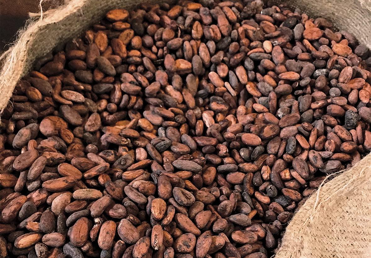 Generic Midday Cocoa Beans | fermented | Sun dried | Raw Cocoa Bean | from Kerala, 200 gm