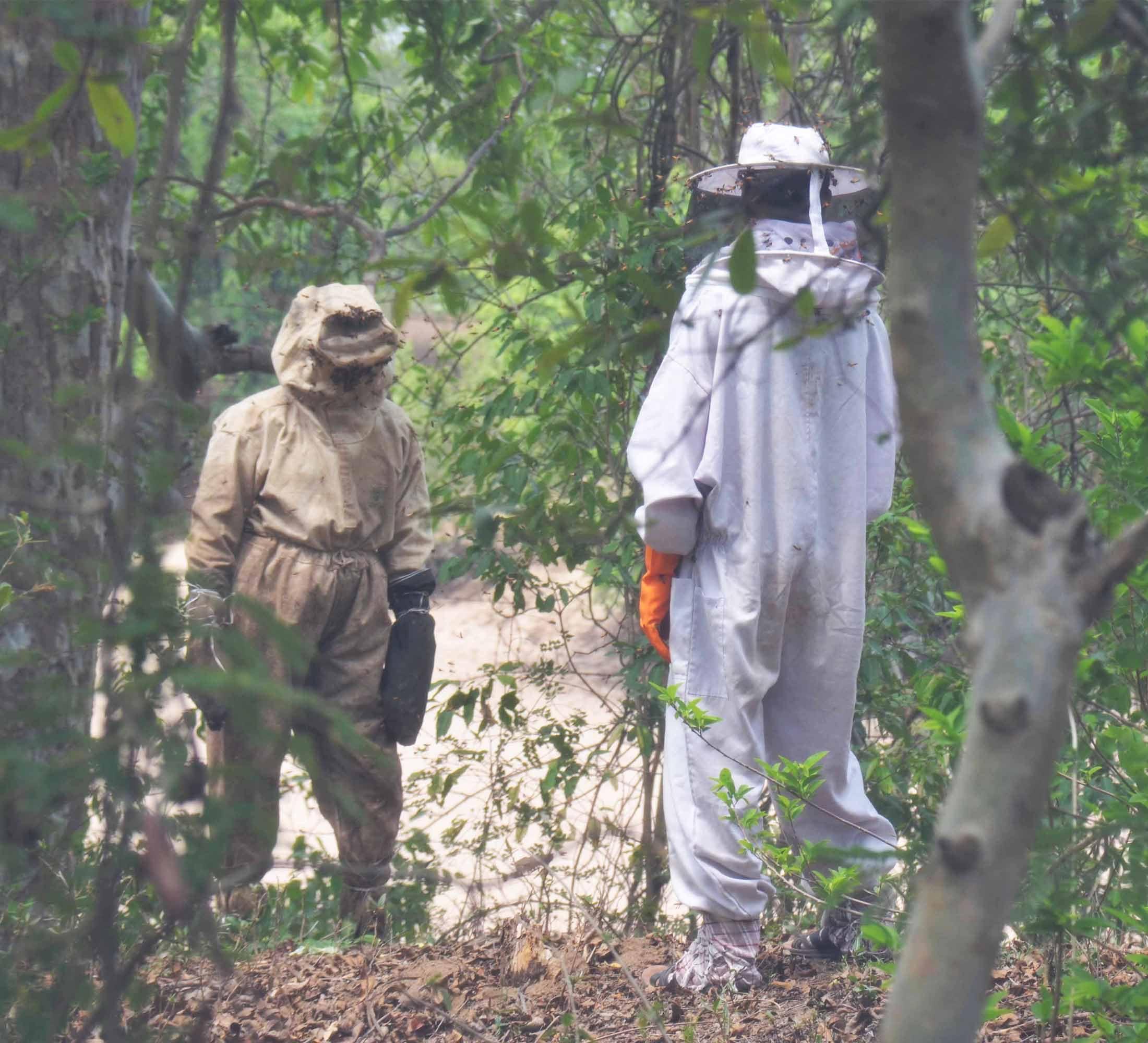 Royal Bee Brothers Royal Bee Brothers | Tribal Natural Forest Honey | Produce of Wild Honey Bees | 100% Raw, Unprocessed, Unheated, Unfiltered, No Chemical, No Adulteration | 250 g