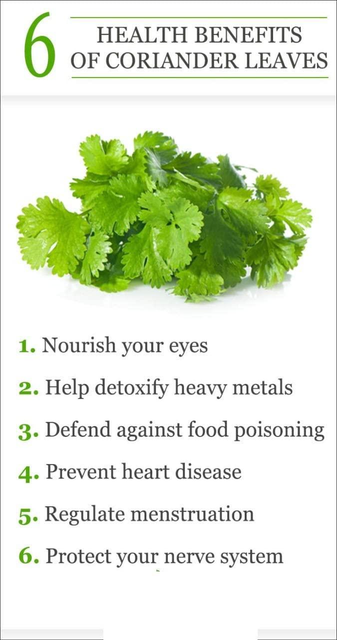 SHOODDH SHOODDH Green Coriander Leaf Powder | Natural Dhaniya Leaf Powder 1 kg + 1kg