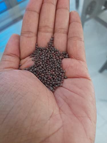 Generic Brown mustard seeds, Rai or sarson 200gm