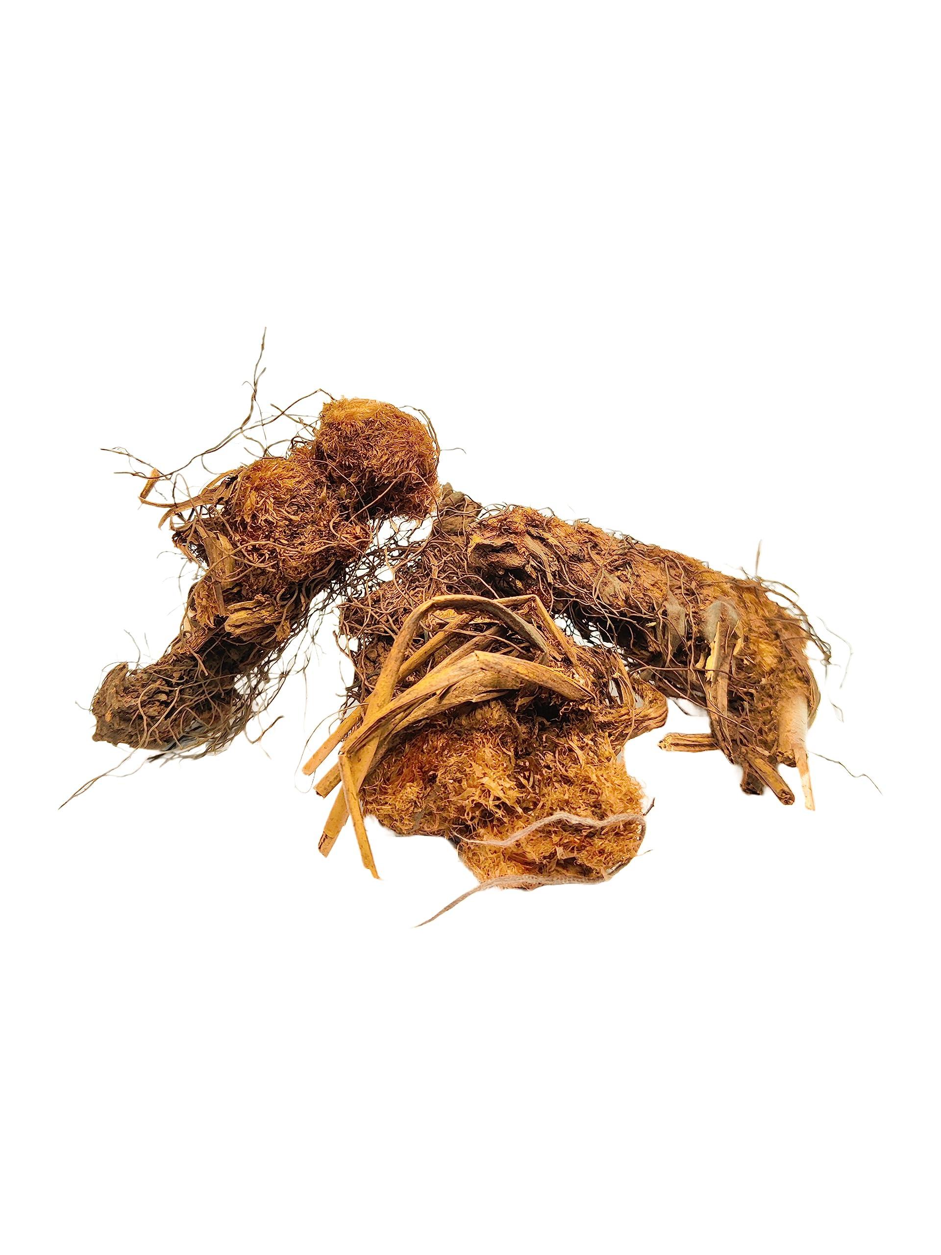 Generic PINAK || 100% Orignal Organic Jatashankari Roots || Pure Jatashankari Herb || JATASHANKAR || (Dried) || ||