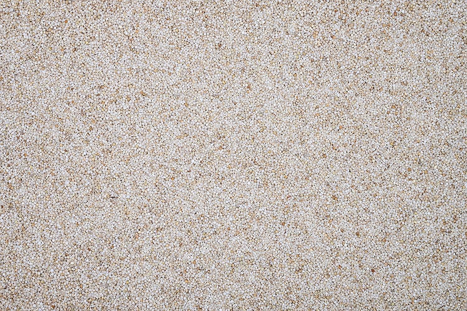 Golden Queens Golden Queens Raw Organic FSSAI certified Pure Natural Unprocessed Original Honey-250grm