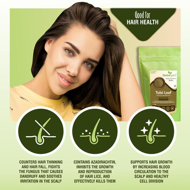 HerbalSpirit Herbal Spirit Tulsi Powder for Drinking, 900gm | Tulsi Powder for Eating | Tulsi Powder Organic for Eating | Tulsi Powder for Tea | Tulsi Leaves Powder | Thulasi Powder | Tulsi Powder Organic |