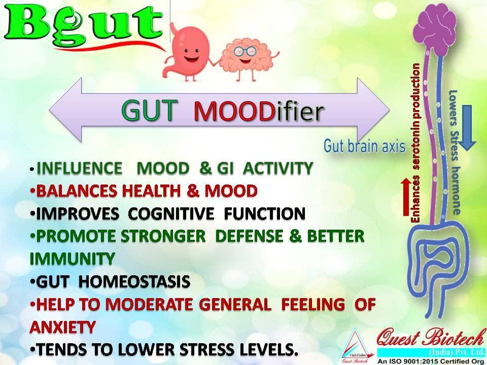 Quest Biotech Quest Biotech 01 Bgut Colostrum Rich Pre and Probiotic Capsule