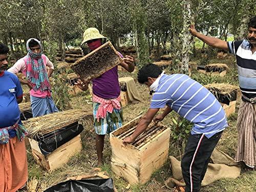 BONPHOOL BONPHOOL Natural Mangrove Honey, 250 Grams - Pack of 2