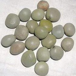 Generic Kalarchikai | Gajga | Fever Nut | Caesalpinia Bonducella | (50 g) - Dhanvant Herbal Shop