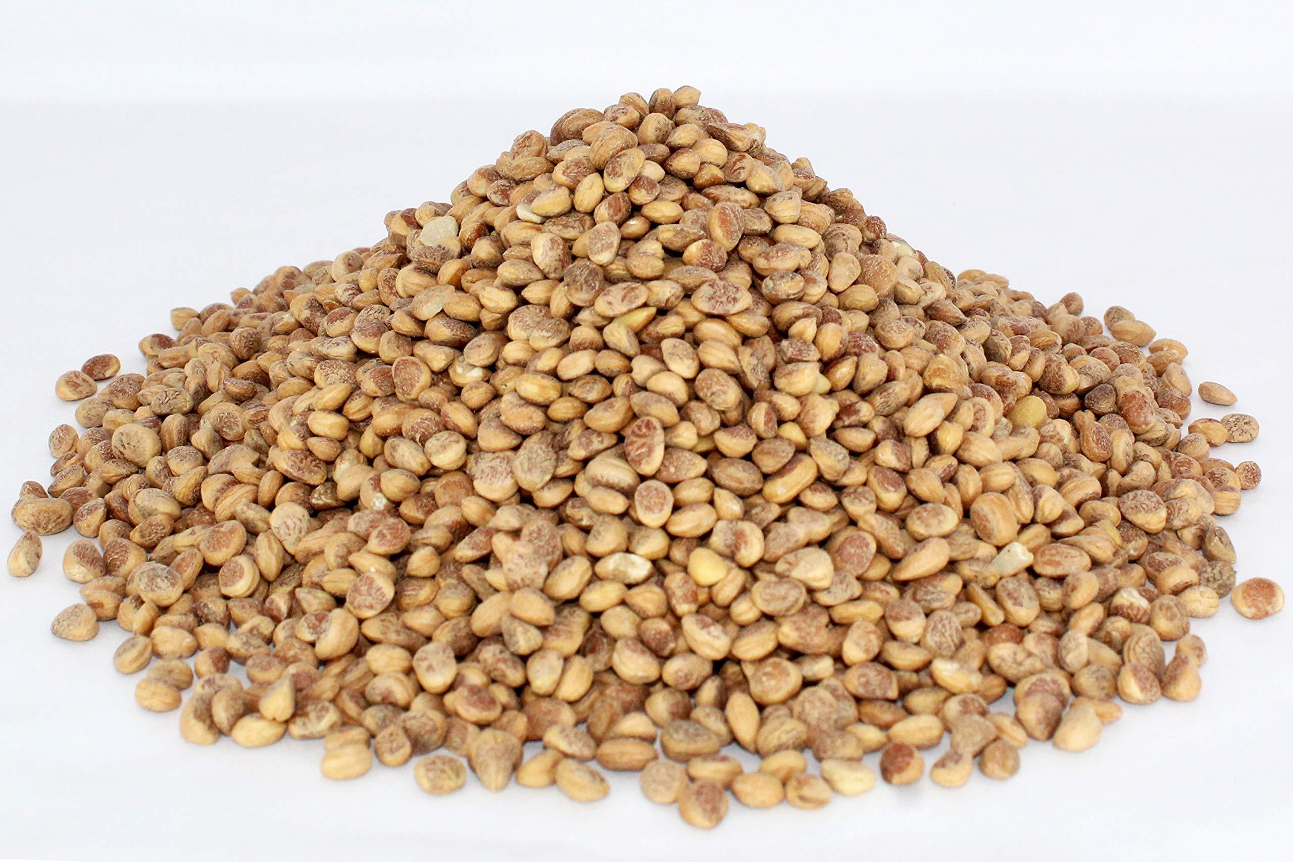 Swiss Naturals Swiss Naturals Almondette Kernels | Charoli Dry Fruits | Chironji Seeds Organic | Chiraunji Dana, 900 gm