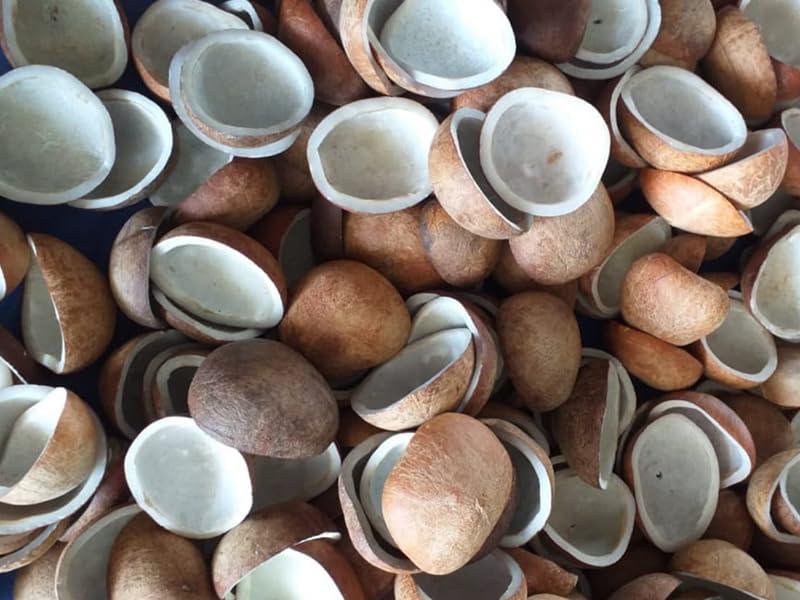 HUNGRY BEAST Spice-M, Dried Coconut Balls | Tiptur Copra | Giri Gola | Gota Nariyal | Endu Kobbari | Dried Copra | kurudu - 100 Grams