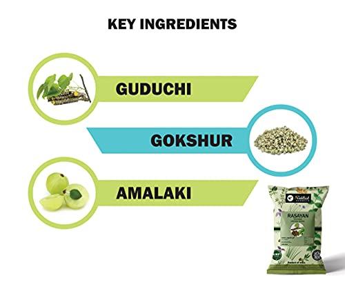 Riddhish HERBALS Riddhish Herbals Organic Rasayan Churna (Amrutadi Churna) - COMBINATION OF Guduchi (Giloy) Gokshura Amla Ayurvedic Powder For Digestion, Immunity Booster - 100gm Each (Pack of 4)