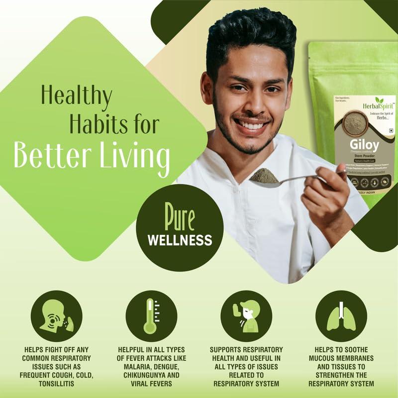 HerbalSpirit Herbal Spirit Giloy Powder Organic | Guduchi Powder | Telagapindi Powder | Giloy Churna Powder | Giloy Stem or Giloy Stick | Tippateega Powder Organic | Thippatheega Powder |250 Gram