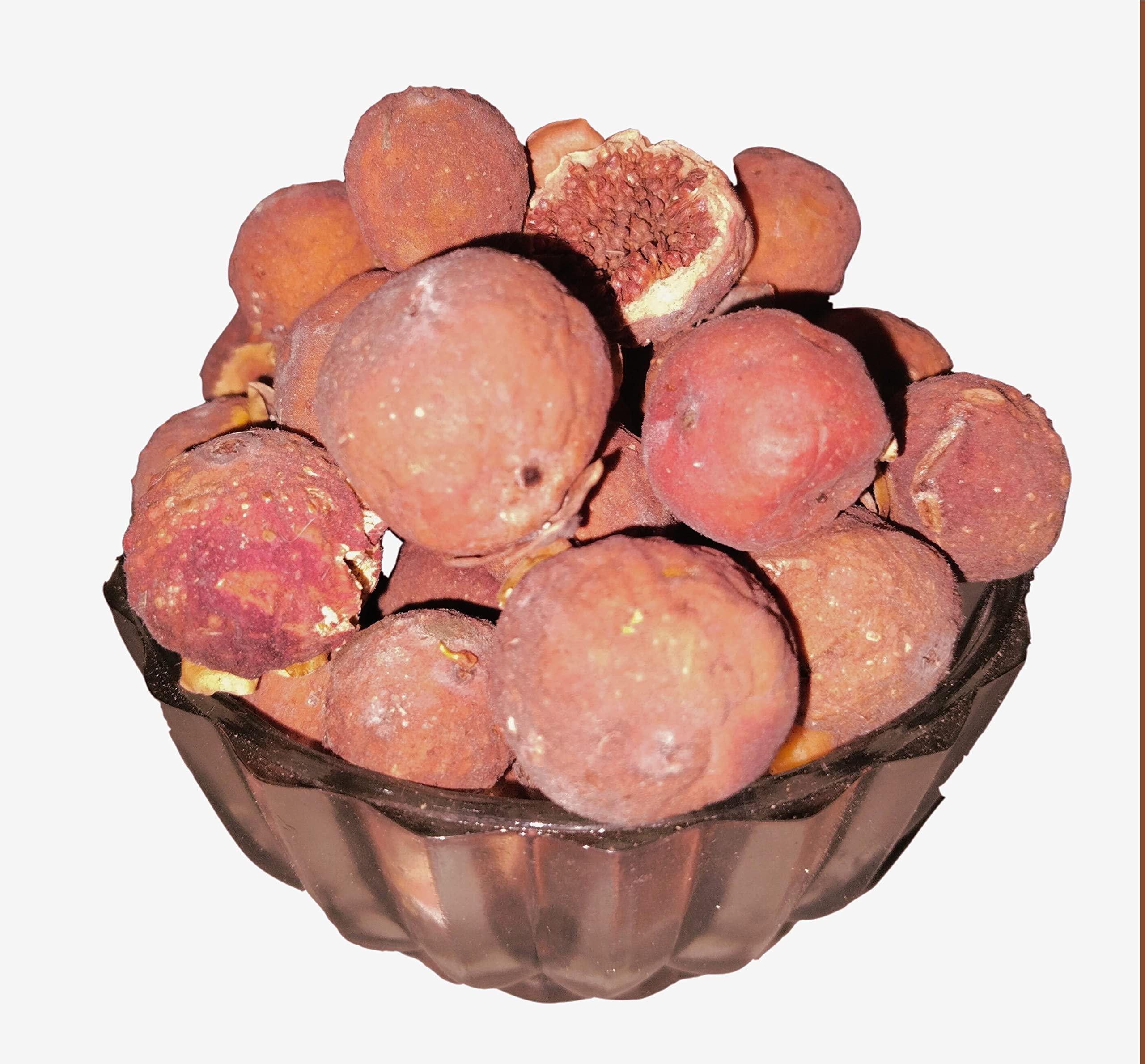 SS520 SS520 Dry Banyan Fruits 400g. Bargad phal Vat Phal Aalam Palam Bargad Fal Indian Fig Marri Udala Fruit
