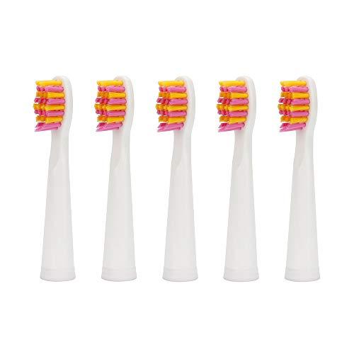 YUNCHI Toothbrush Replacement Heads Compatible with Teeteck YUNCHI Y1 Electric Toothbrushes 5 Pack - Pink