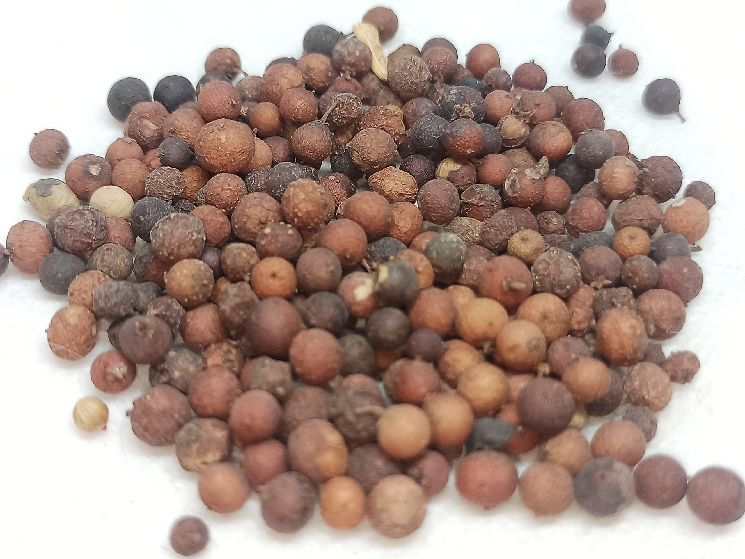 NavaFresh Basics NATURALIFE'S-*VAAI VIDAGAM*-FALSE BLACK PEPPER I Vilanga I vayu vilanga I Vay Vidang I Balbidang I Bhabhirang I Vayu Vidangalu I Vidang I Bidang I Bavidang I Bavidang I Bavadang (250 GRAMS)