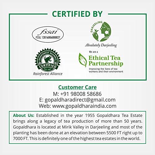 GOPALDHARA Gopaldhara Darjeeling Jethikupi Winter Frosted Oolong Tea 50g Tin Can - (Royal Series) FTGFOP1 Whole Leaf Tea from the Highest Elevation 7000 Feet
