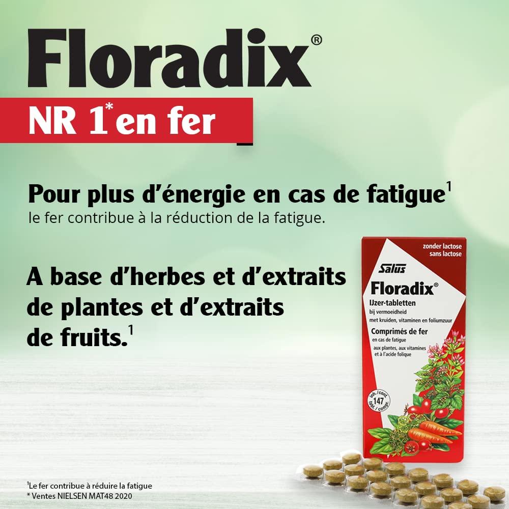 Floradix Floradix Iron 84 Tabs