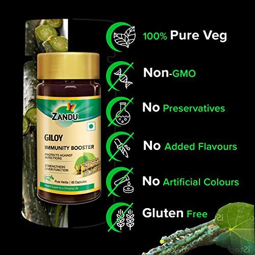 Zandu Zandu Giloy Capsules (Guduchi) 120 Veg Capsules, Natural Giloy Extract, Antioxidant Properties, Immunity Booster, Health and Wellness with 2X Immunity (Pack of 60 caps x 2)