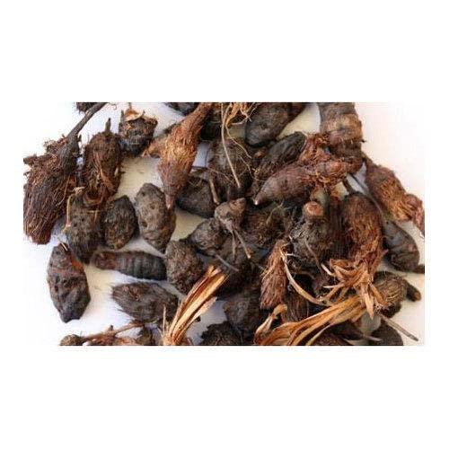 Generic Korai Kilangu (Kizhangu) Roots 100g / nagarmotha/Cyperus Rotundus/Nut Grass Root By Amirtham Organic Foods