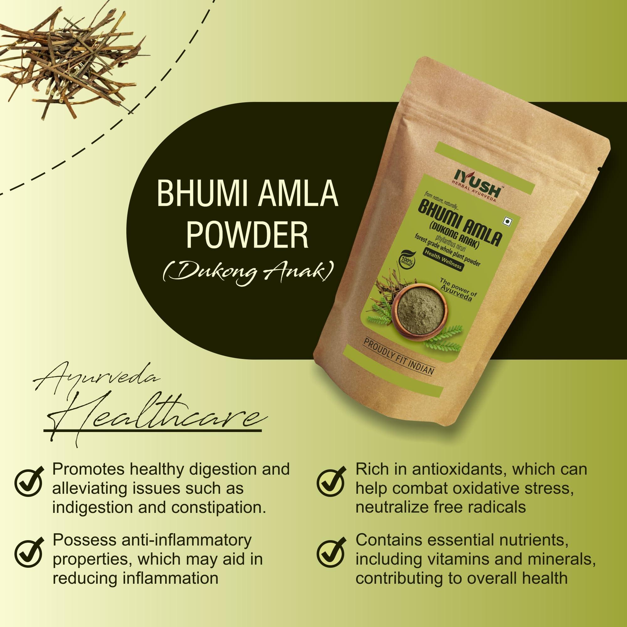 IYUSH Bhumi Amla Powder Organic, 900gm