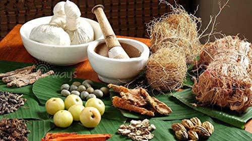 Generic SPIROGYL Gum Paint Pack of 2(Ayurvedic Gum Massage Gel)