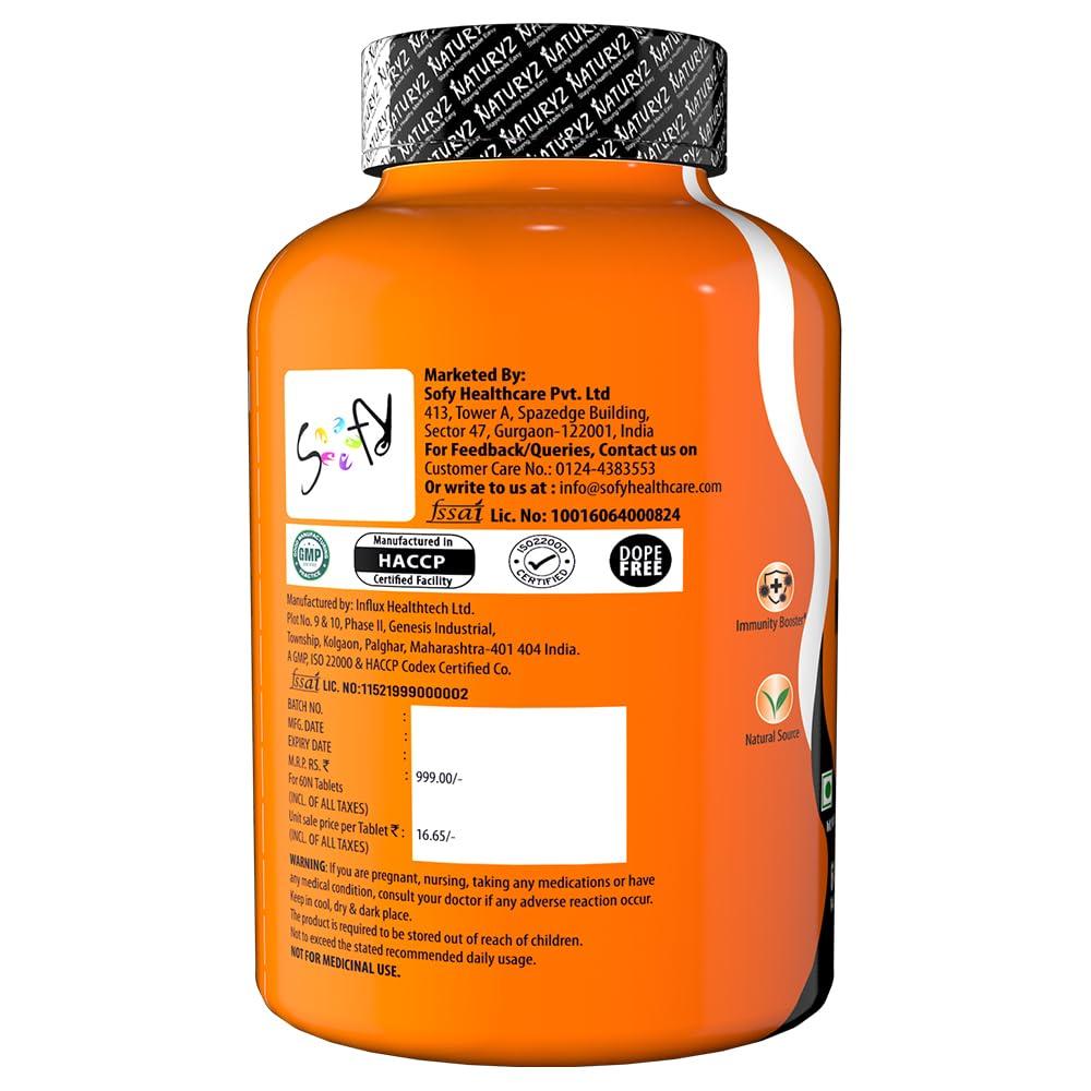 Naturyz Naturyz Double Strength Natural Vitamin C & Zinc Supplement with Amla, Acerola Cherry, Citrus Bioflavonoids rich in Antioxidants for Immunity Support & Skincare pack of 2 (120 Vegetarian tablets)