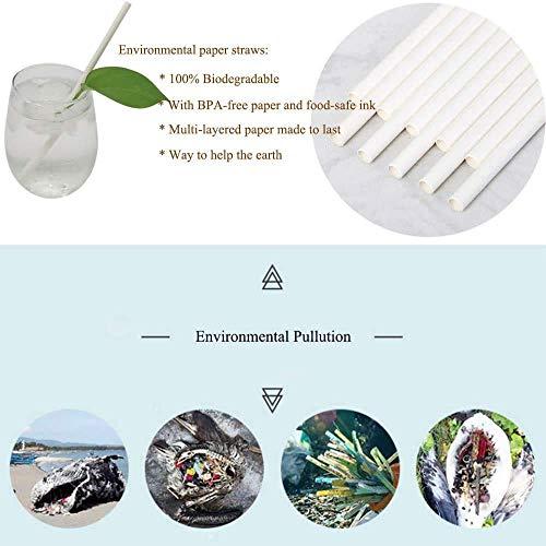 VARADAA FDA Approved Paper Straw - 100% Biodegradable and Dye Free - Size 6mm x 200mm (200)