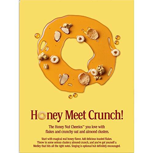 General Mills General Mills Honey Nut Cheerios Medley Crunch Pouch, 371 g