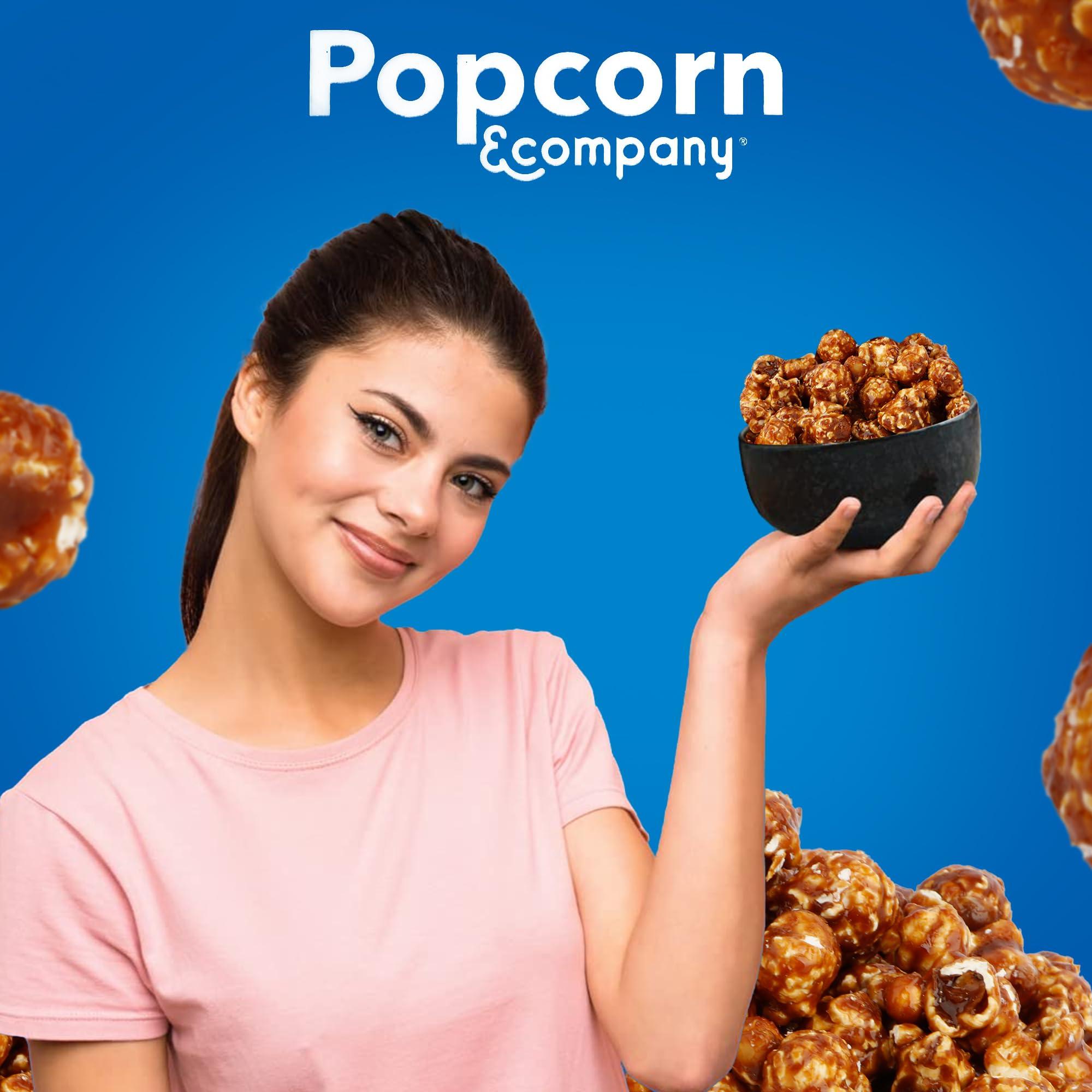 Popcorn & Company Popcorn & Company Sea Salt Caramel Popcorn Ready to Eat Flavored Popcorn (350 g)