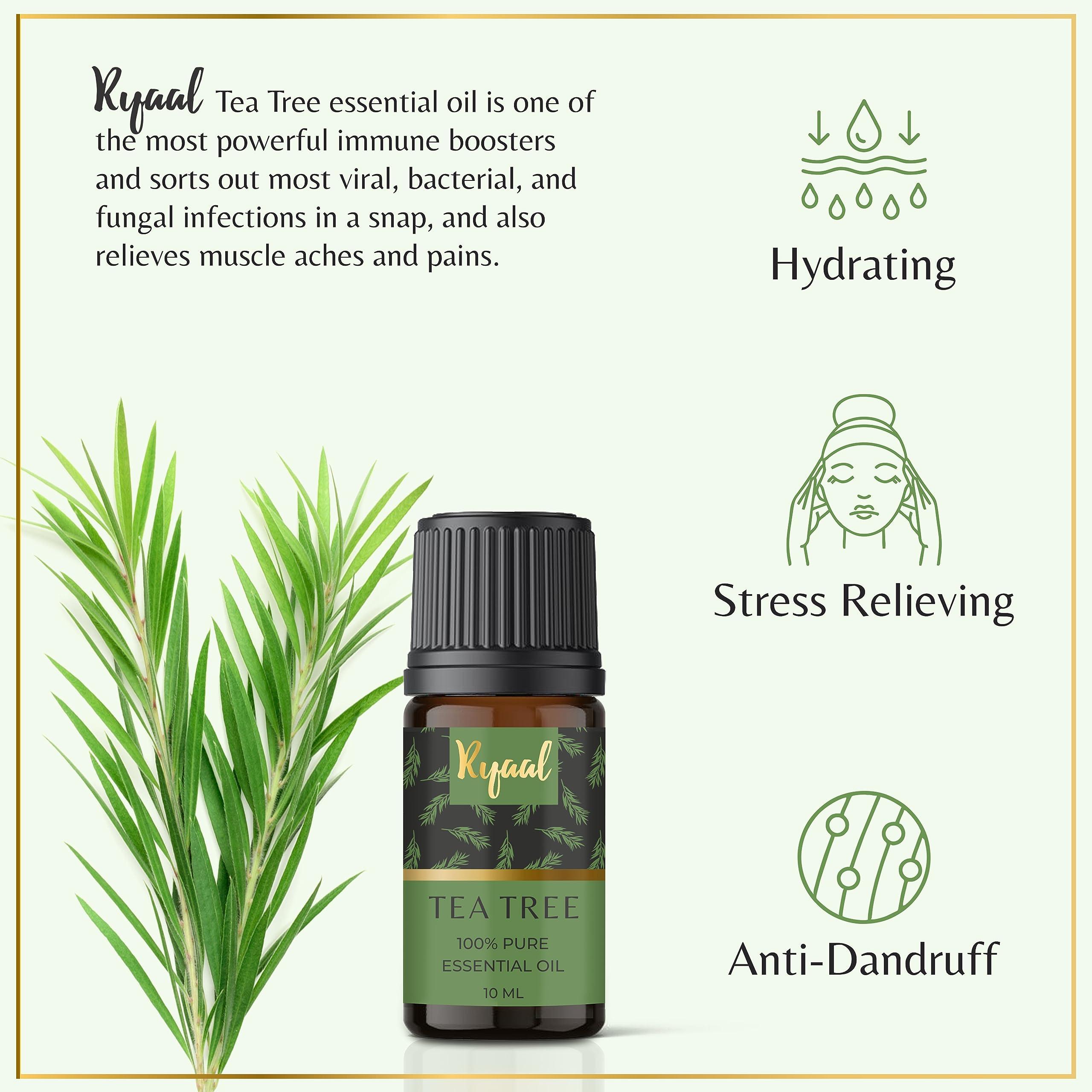 Ryaal Ryaal Essential Oils Rosemary, Tea Tree, Lavender, Lemon, Rose, and Jasmine | Hair and Skin Nourishing, Body Relaxing | Diffuser, Aromatherapy | 6 in 1 Combo Pack Pure and Natural Oils 10 ml each