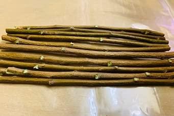 Vaibhav VOS Natural Fresh Neem Chew Sticks for Healthy Teeth and Gums - 25 Sticks(15cm Long Each Neem Stick)