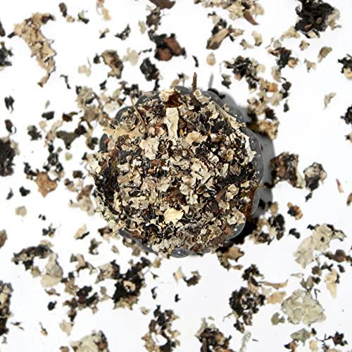 Swiss Naturals Swiss Naturals Stone Flower | Patthar Phool | Dagad Phool | Kalpasi, 100g