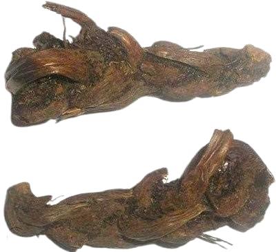 Generic Hindu Guru Goyal Jata Shankar Jadi Buti for Money and Prosperity jatashankar, JataShankar Jadi Booti - 2 PC