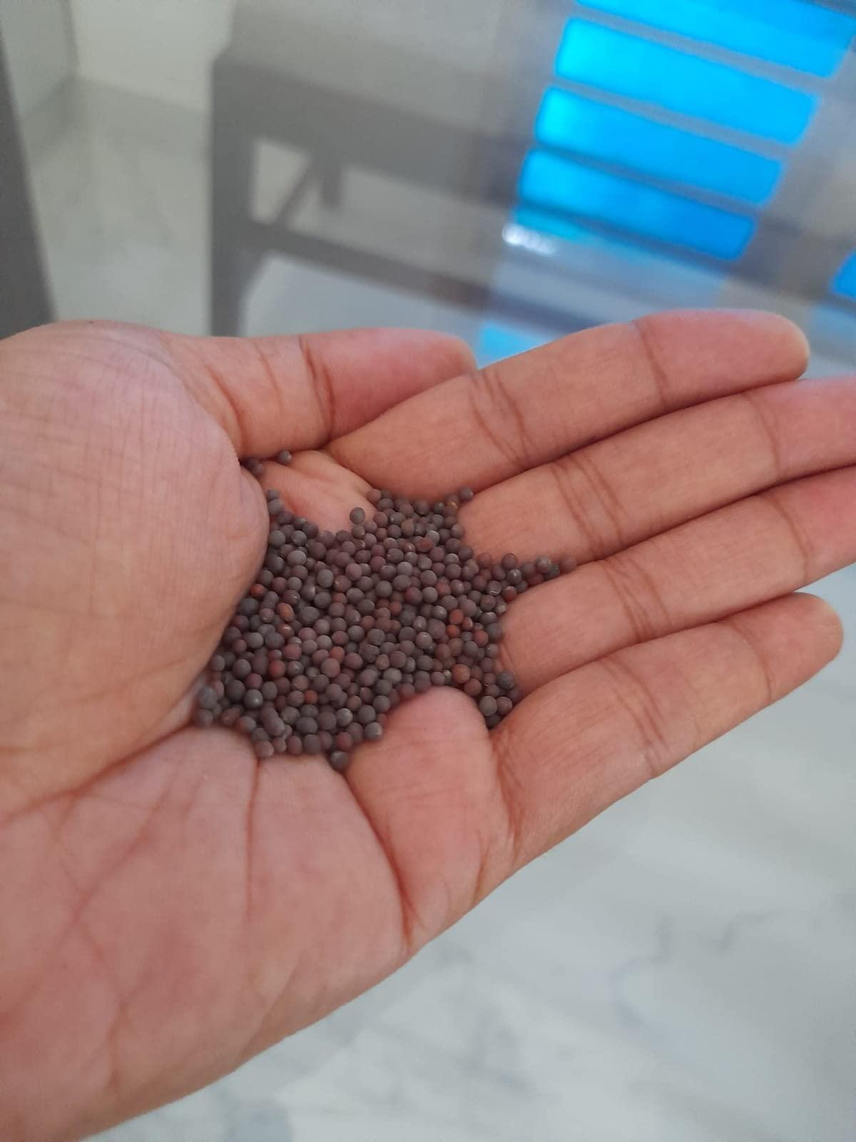 Generic Brown mustard seeds, Rai or sarson 200gm