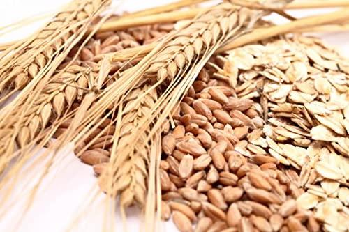 SAARA SAARA Whole Wheat | Gehu |Sabut Gehu | Gehoo | Genhu, 9.950Kg