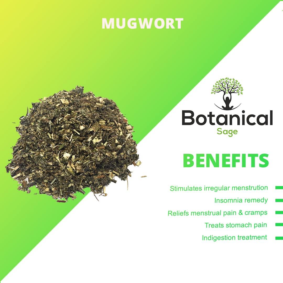 Botanical Sage Botanical Sage - Mugwort herb for tea 50g | Boosts energy | Improves digestion | Selected | Extra Cleaned