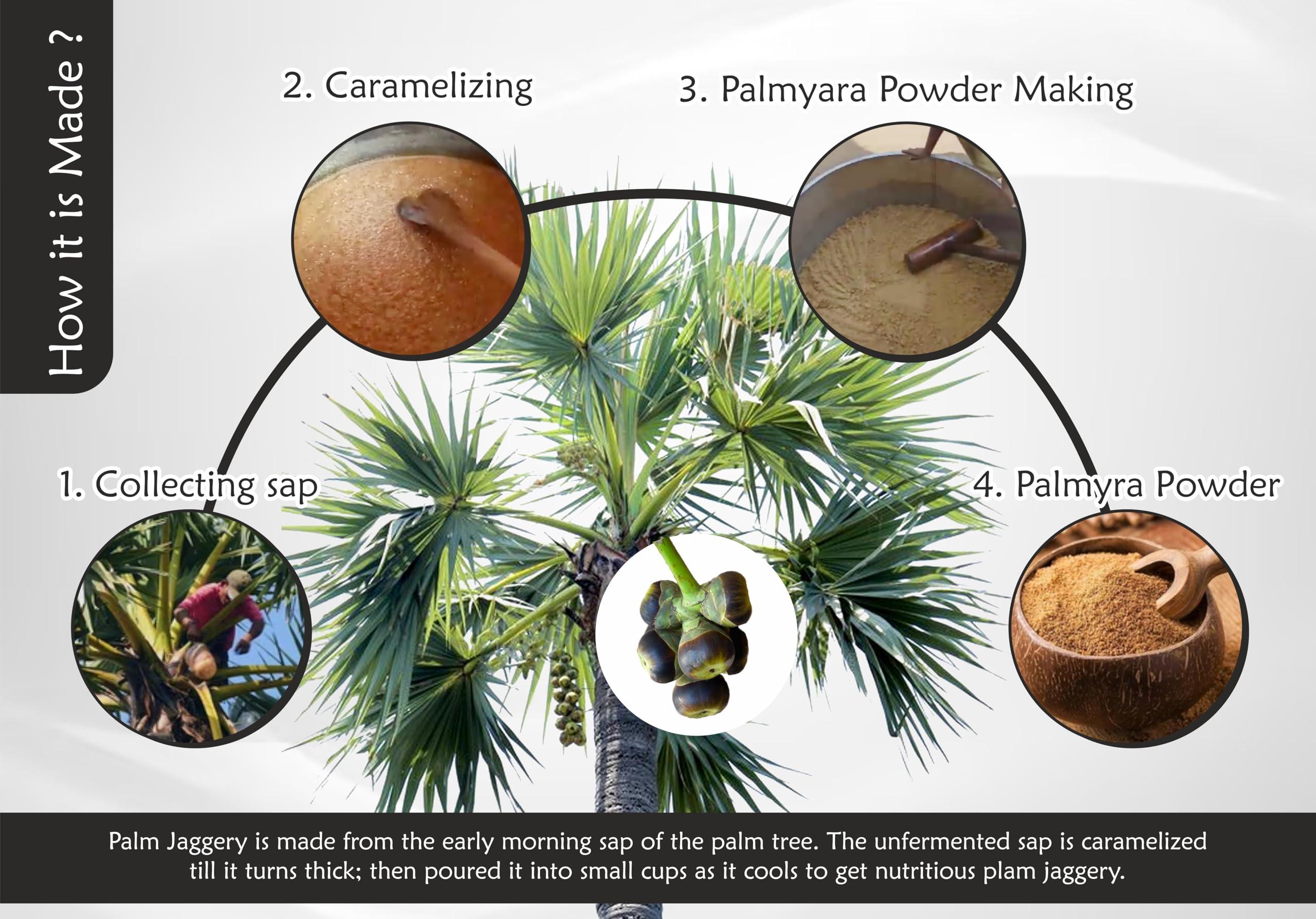 Aranyaka Aranyaka Palmyra Palm Sugar 500gm| Palm Jaggery Powder| From 100% Pure Palm Blossom Nectar| Natural Sweetener, Sugar Alternative | Unrefined | Vegan | Traditionally Made (500 g (Pack of 1))