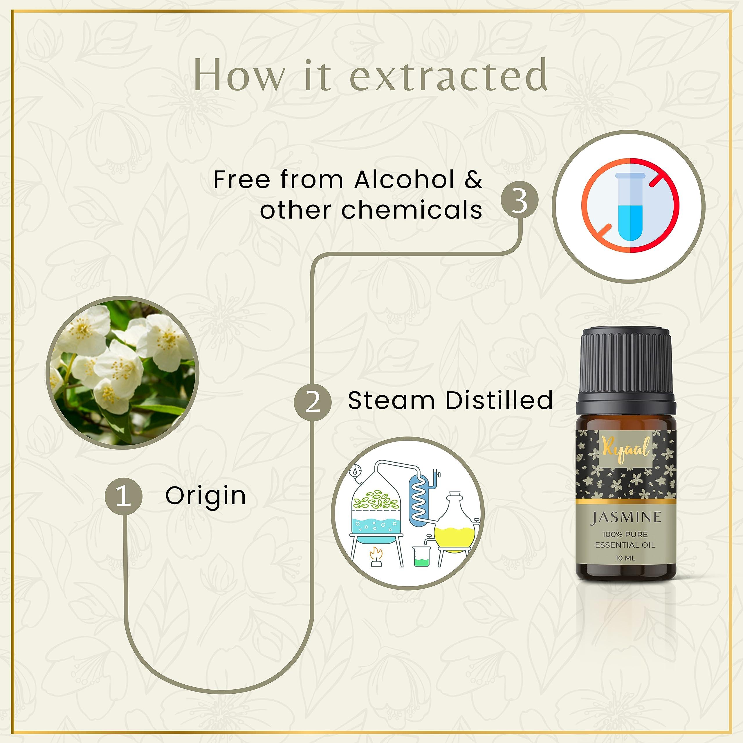 Ryaal Ryaal Essential Oils Rosemary, Tea Tree, Lavender, Lemon, Rose, and Jasmine | Hair and Skin Nourishing, Body Relaxing | Diffuser, Aromatherapy | 6 in 1 Combo Pack Pure and Natural Oils 10 ml each