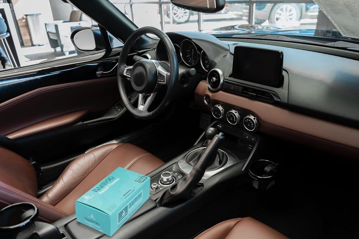 AshNatural AshNatural Bamboo Facial Tissue (Pack of 12) 1200 Pulls 2-Ply, 100% Bamboo|Disposable and Eco-friendly Tissue|Tree-Free Solution, Skin Friendly & Unbleached 1200 Pulls