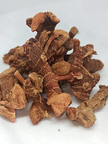 Generic NATURALIFE\'S-*SITHARATHAI*-CHITARATHAI I I Sitharathai I Lesser Galangal I Kulanjan I Alpinia Officinarum.