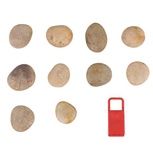 HEALLILY 1 Set/ 10 Pcs Children DIY Drawing Stone Graffiti Rocks Stones Creative Natural Pebbles with 1 Pc Bracket for Home School Practice (3-4CM, Random Style)